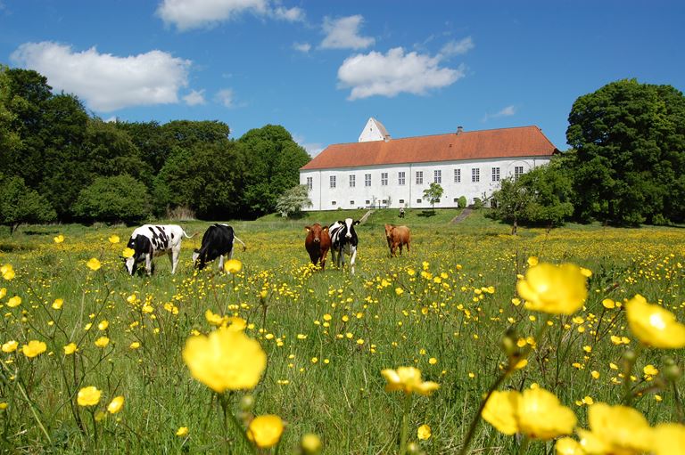 Online rundvisning: 800 års historie og udvikling i Ørslev Kloster