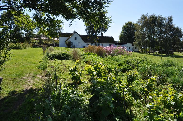 Høst og bålmad på Rabarbergaarden