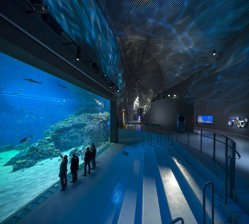 Nordeuropas mest moderne akvarium åbning