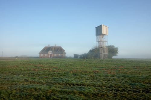 Tipperne Fuglereservat