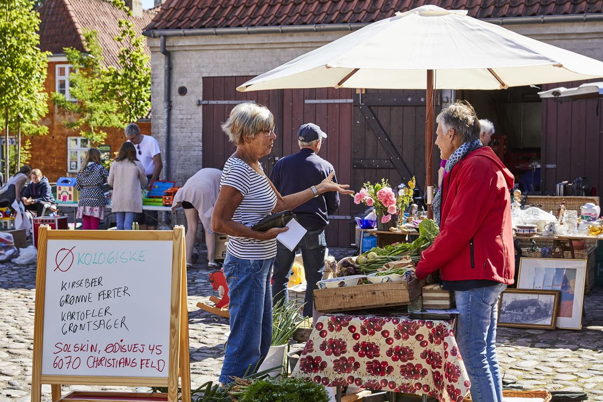 Søg Støtte Til Arrangementer Der Samler Folk Om Lokal Bygningskultur 