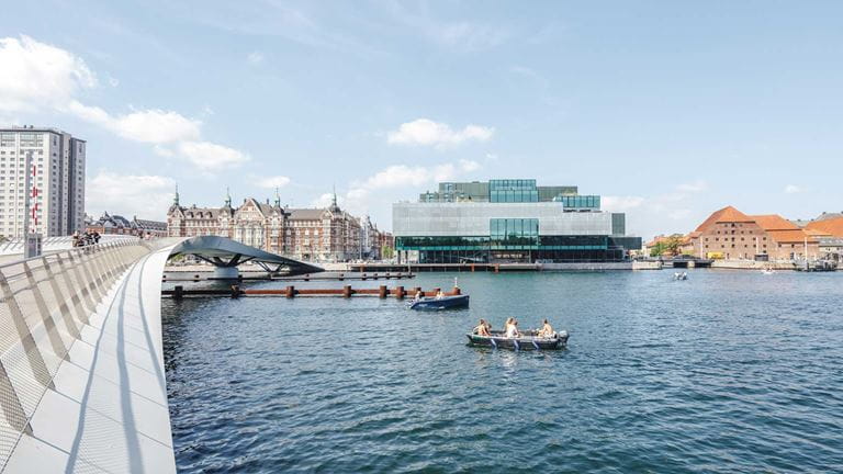 Måge fjerne Stuepige København