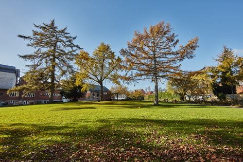 Fra børnehave til bydelshus i Svendborg