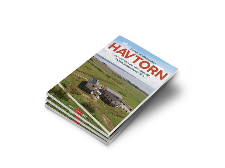 Publikation om Havtorn