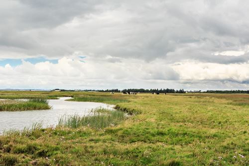 Landsbyen de 7 sogne