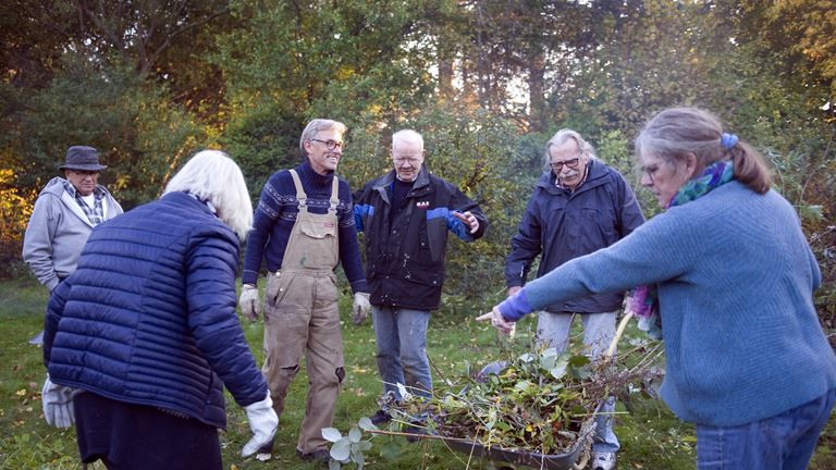 Seniorbofælleskaber