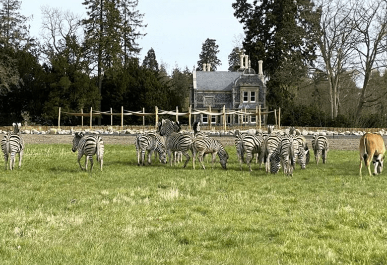 Vild og levende bygningskultur – oplev Flintehuset i Knuthenborg Safaripark