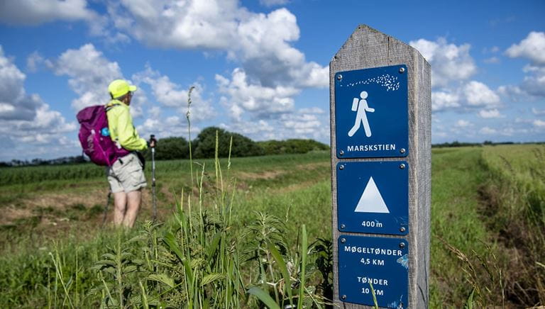 Familiearrangement: Efterårsferie i marsken og i møllen