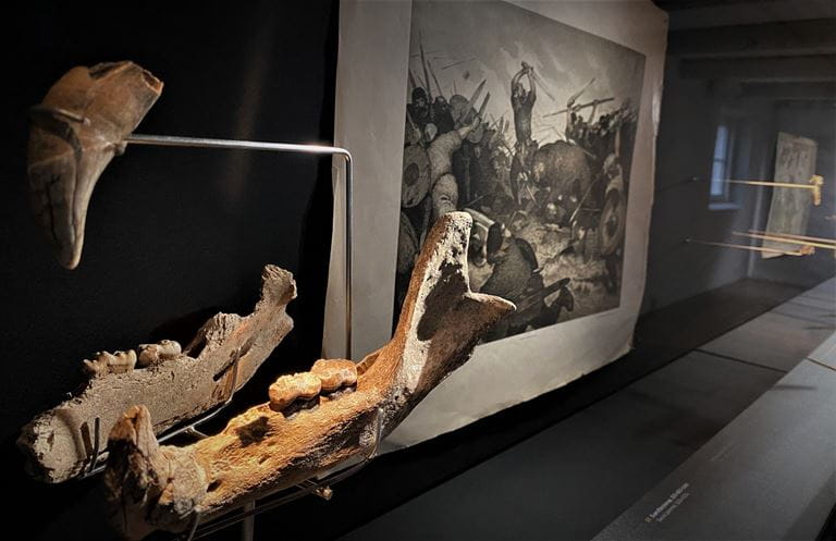 Oplev vikingetidens sagn, fakta og fantastiske fund