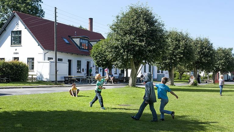 Oplev ølivet på Livø