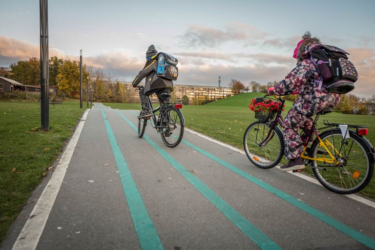 Udsatte boligområder: Hvad virker? Og hvad kan vi lære af erfaringerne? (Aalborg)