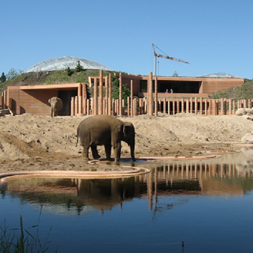 København Zoo: Oplev elefanternes hus (København)