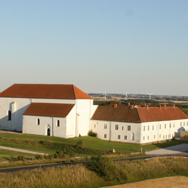 Børglum Kloster: Kildemarked 22.-24. juni og orgelmatinéer i juli (Vrå)