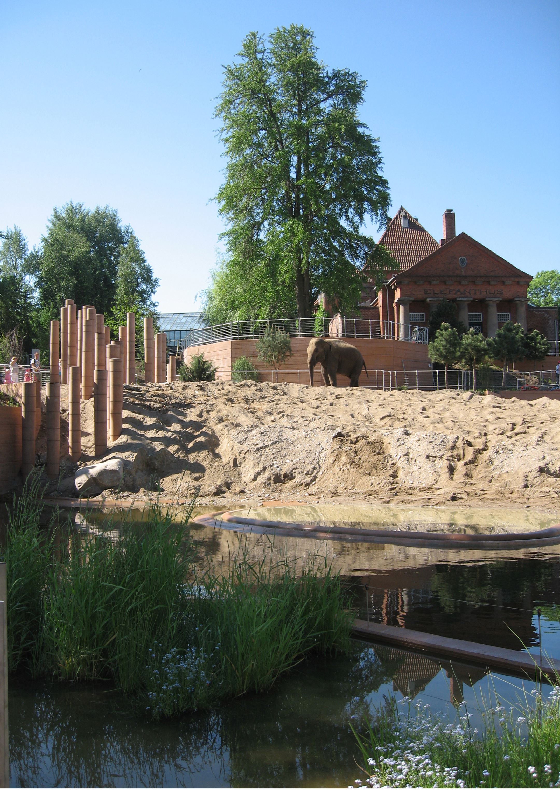 Elefanthuset i københavn zoo