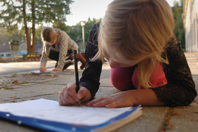 Skolen ønsker at skabe fysiske miljøer, som både kan indgå i skolens pædagogiske visioner og bruges som nye ’aktivitetsrum’ for Rold Skovs brugere.