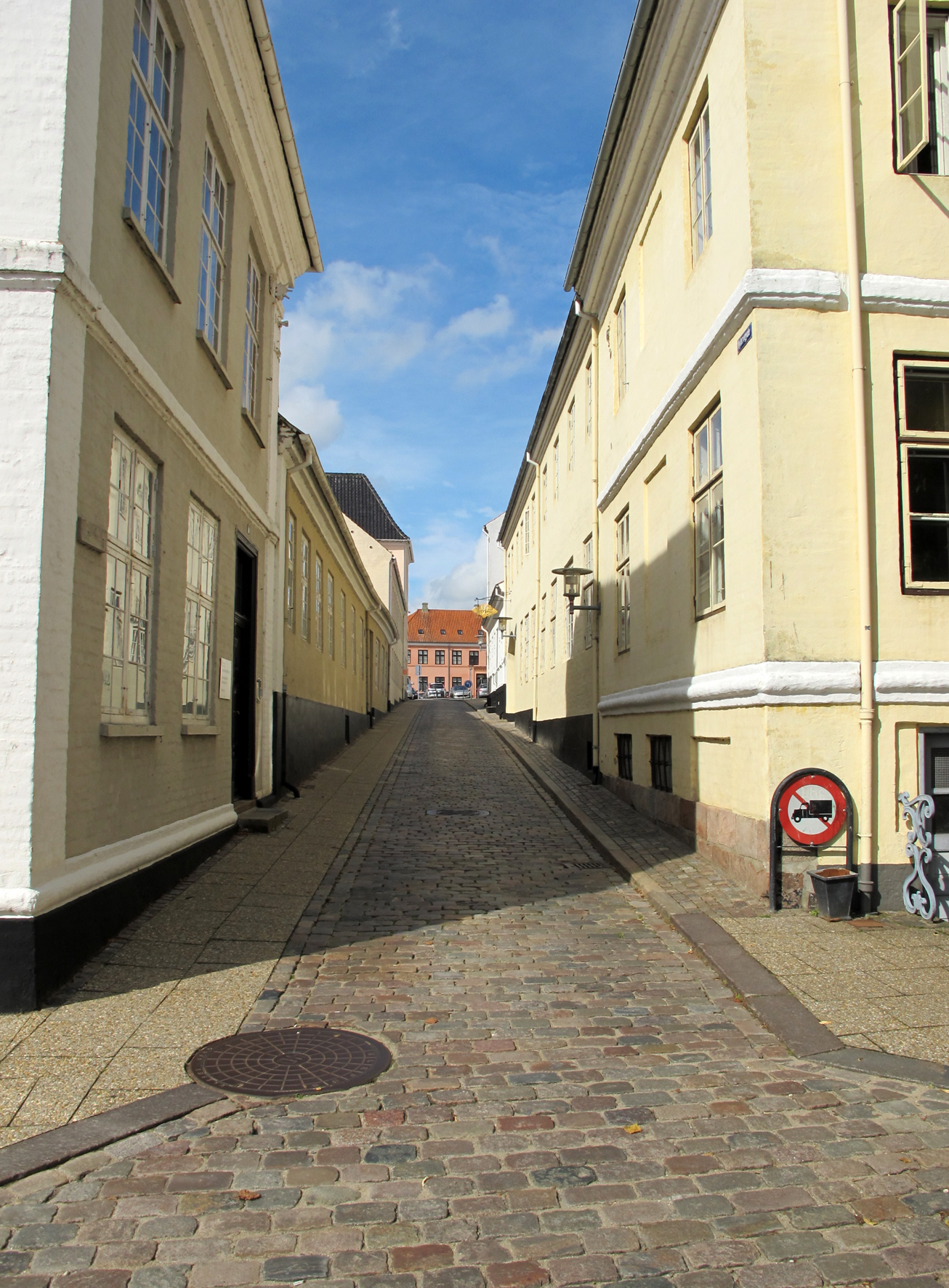 Den historiske del af Viborg skal fungere som eksempel for andre både danske og europæiske byer på, hvordan man kan skabe ligeværdig adgang for alle til historiske bykerner