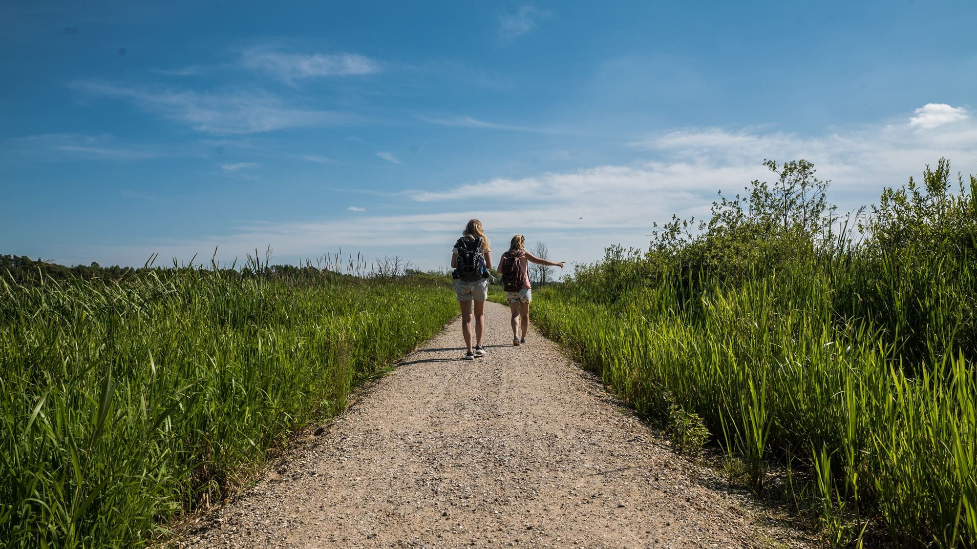 Trækstien, Silkeborg