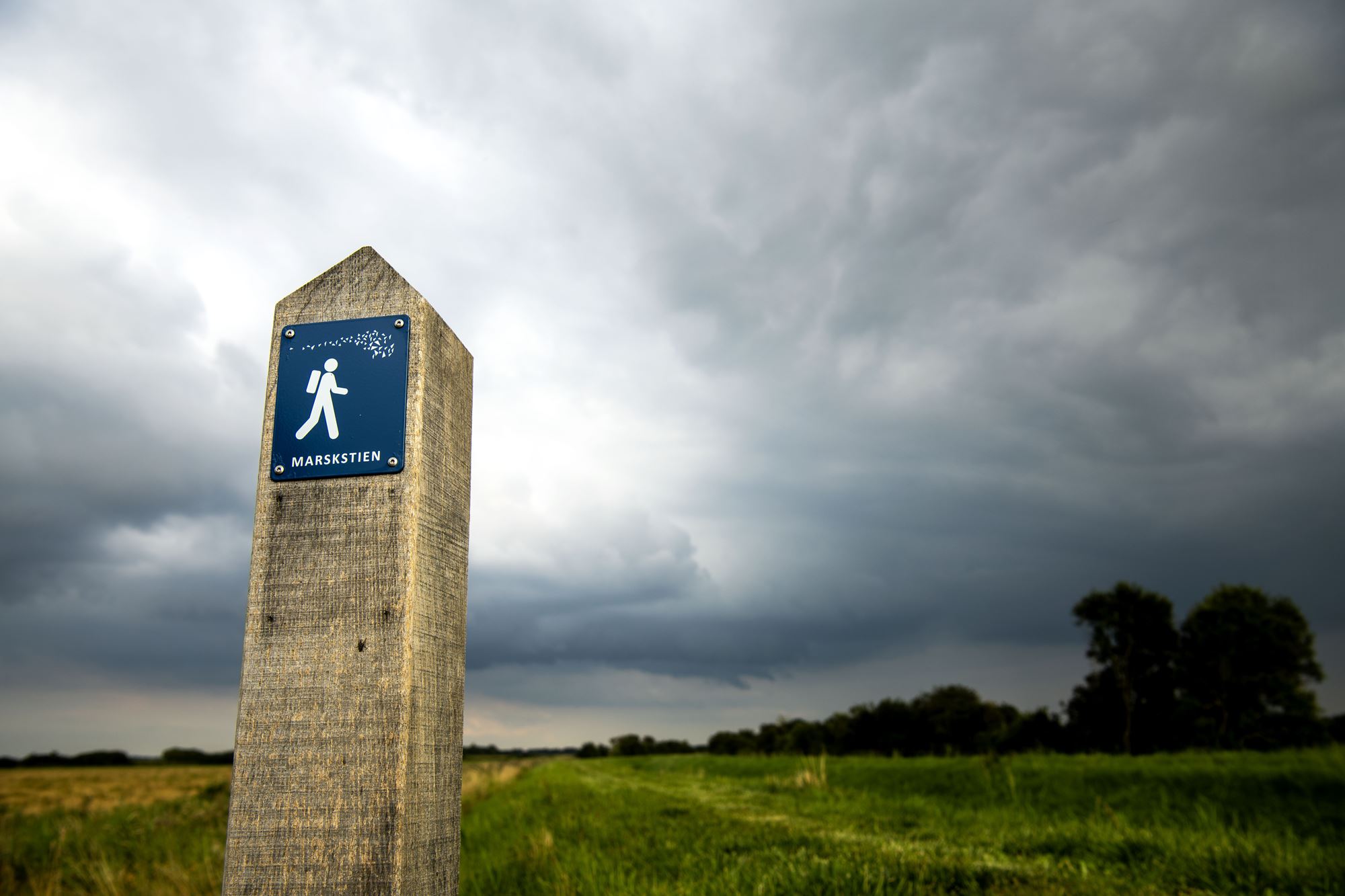Marskstien har forbedret adgangen til naturen, og vandrestien har nu fået et fornemt europæisk kvalitetsstempel.