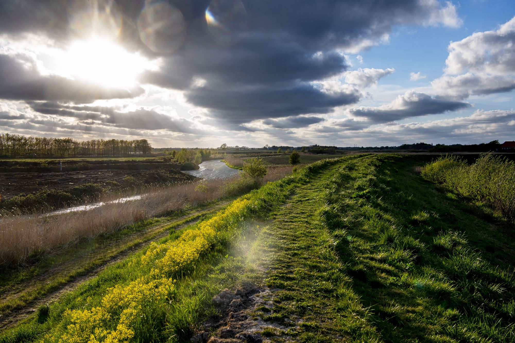 Tøndermarsken er et unikt landskab med enestående natur og et rigt fugleliv.