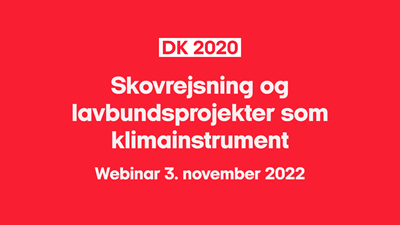 Skovrejsning og lavbundsprojekter som klimainstrument