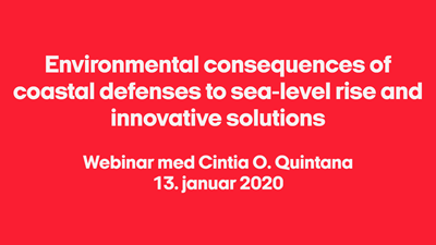 Environmental consequences of coastal defenses to sea-level rise and innovative solutions